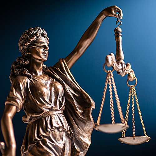 Commercial Law Professionals